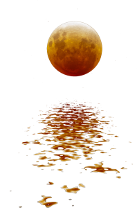 Economy Transformers