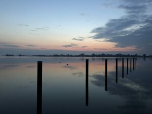 economy transformers dolende deelgenoot