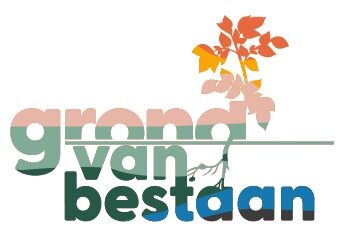 Economy Transformers