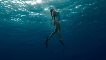 Economy Transformers