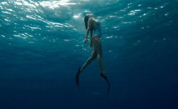 Economy Transformers